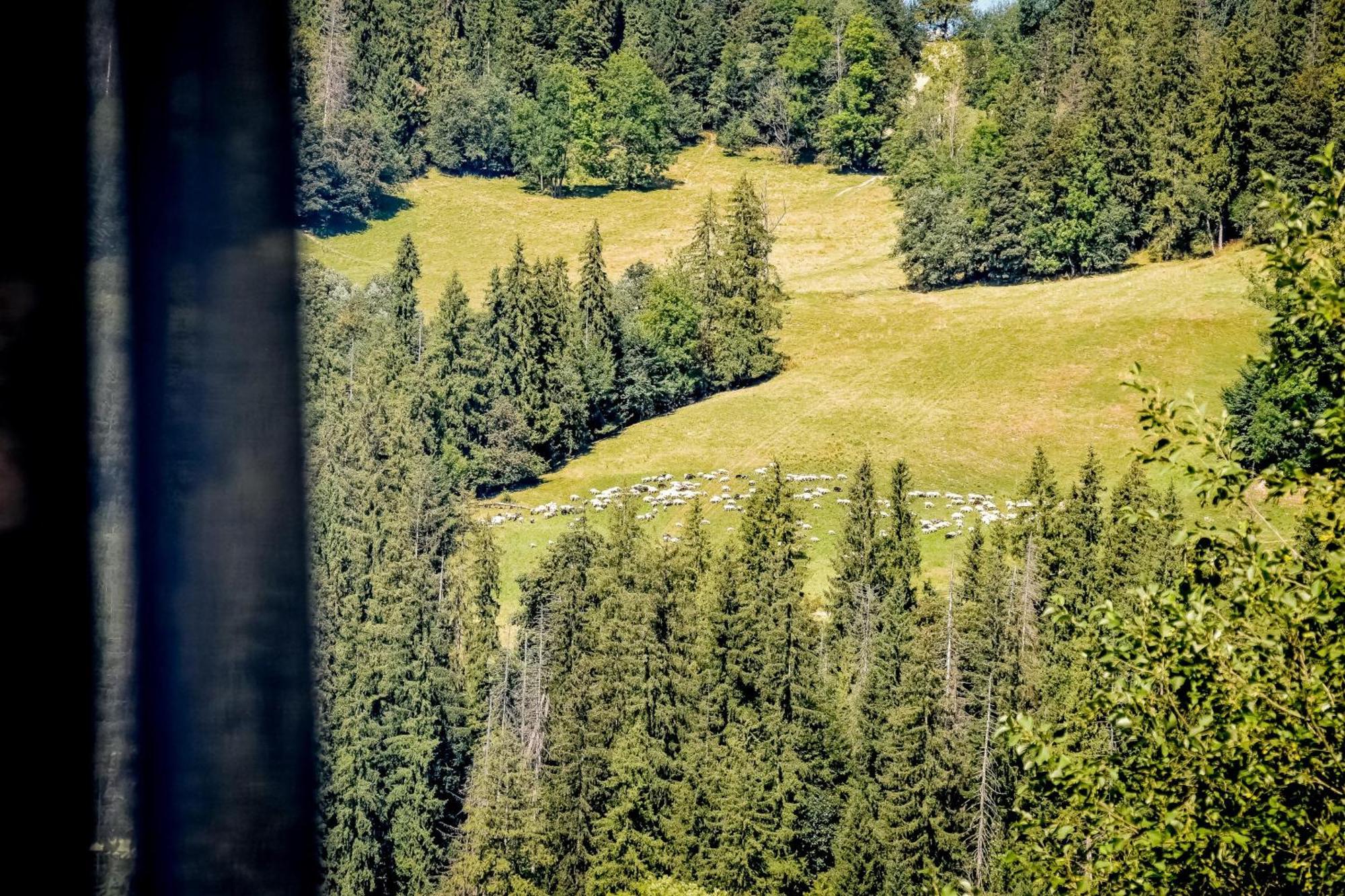 Appartamento Rysiowka Poronin Esterno foto